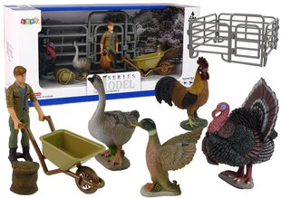 Большой набор фигурок, фермерская деревня, Турция, курица, петух, тачка, 11 элементов цена и информация | Игрушки для девочек | hansapost.ee