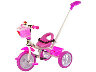 Kolmerattaline Lean Toys PRO100, roosa hind ja info | Kolmerattalised jalgrattad lastele | hansapost.ee