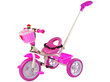 Kolmerattaline Lean Toys PRO100, roosa цена и информация | Kolmerattalised jalgrattad lastele | hansapost.ee