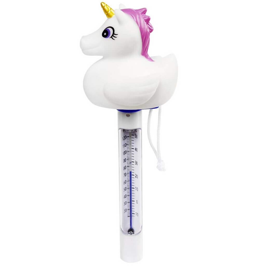 Basseini termomeeter Unicorn Bestway 58595 hind ja info | Basseinitarvikud | hansapost.ee