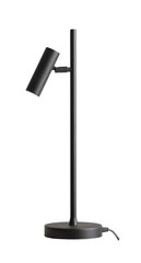 Aldex настольный светильник Trevo цена и информация | Настольная лампа | hansapost.ee