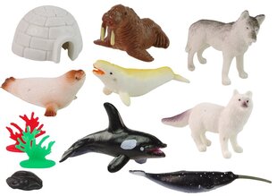 Набор из 12 фигурок полярных животных и аксессуаров в тубусе цена и информация | Игрушки для мальчиков | hansapost.ee