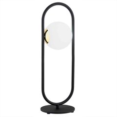 Argon настольный светильник Rovetto цена и информация | Настольная лампа | hansapost.ee