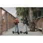 Elektriline tõukeratas Ninebot by Segway Kickscooter F2 Plus E, must hind ja info | Elektritõukerattad | hansapost.ee