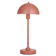 Endon настольный светильник Saroma цена и информация | Настольная лампа | hansapost.ee