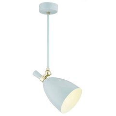 Argon подвесной светильник Charotte цена и информация | Потолочный светильник, 38 x 38 x 24 см | hansapost.ee