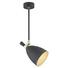 Argon подвесной светильник Charlotte цена и информация | Люстры | hansapost.ee