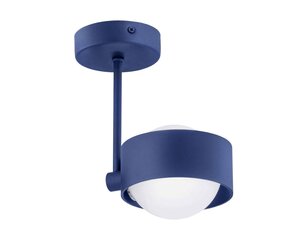 Argon подвесной светильник Massimo цена и информация | Потолочный светильник, 38 x 38 x 24 см | hansapost.ee