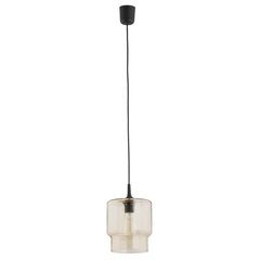Argon подвесной светильник Newa 3273 цена и информация | Потолочный светильник, 38 x 38 x 24 см | hansapost.ee