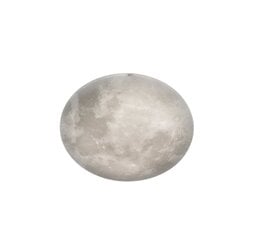 Trio laelamp Lunar цена и информация | Потолочные светильники | hansapost.ee