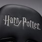 Mängutool Subsonic Pro Harry Potter Slytherin, must/roheline hind ja info | Kontoritoolid | hansapost.ee