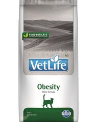 Farmina Vet Life Cat Obesity kuivtoit kassidele koos kanaga, 5 kg hind ja info | Kassi kuivtoit ja kassikrõbinad | hansapost.ee