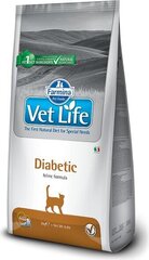 Farmina Vet Life Diabetic сухой корм для кошек с курицей, 2 кг цена и информация | Сухой корм для кошек | hansapost.ee