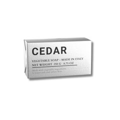 Parfümeeritud tahke seep kehale Alchimia Cedar, 250 g hind ja info | Seebid | hansapost.ee