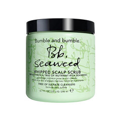 Скраб для кожи головы Bumble and bumble Seaweed, 200 мл цена и информация | Средства для укрепления волос | hansapost.ee