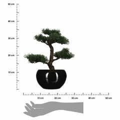Kunsttaim bonsaipuu 36 cm hind ja info | Kunstlilled | hansapost.ee