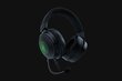 Razer RZ04-03770200-R3M1 Black цена и информация | Kõrvaklapid | hansapost.ee