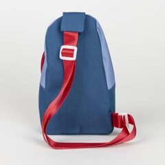 Seljakott lastele, sinine цена и информация | Рюкзаки и сумки | hansapost.ee