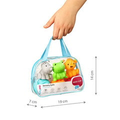 Sensoorsete mänguasjade komplekt BabyOno, 1530, 6 tk price and information | Toys for babies | hansapost.ee