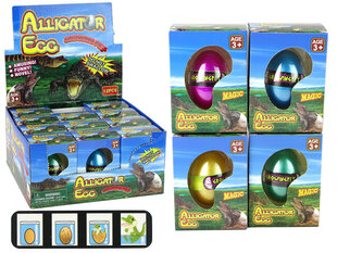Kasvav krokodilli muna, 6cm цена и информация | Развивающие игрушки для детей | hansapost.ee