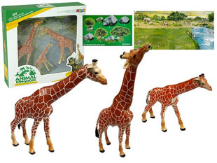 Развивающие фигурки «Жирафы» для всей семьи, 3 предмета + фон «Африка» цена и информация | Игрушки для мальчиков | hansapost.ee