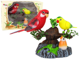 Поющие движущиеся разноцветные древесные попугаи цена и информация | Развивающие игрушки для детей | hansapost.ee