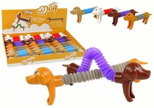 Эластичная такса 4 цвета цена и информация | Развивающие игрушки для детей | hansapost.ee