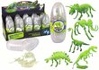 3D dinosauruse skelett munas Lean Toys, 1 tk. hind ja info | Mänguasjad poistele | hansapost.ee