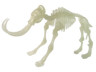 3D dinosauruse skelett munas Lean Toys, 1 tk. hind ja info | Mänguasjad poistele | hansapost.ee