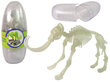 3D dinosauruse skelett munas Lean Toys, 1 tk. hind ja info | Mänguasjad poistele | hansapost.ee