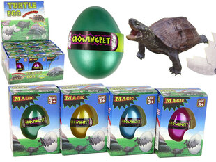 Kilpkonna vees kasvav muna, 6 cm hind ja info | Arendavad laste mänguasjad | hansapost.ee