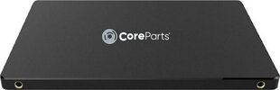 CoreParts CPSSD-2.5SATA-240GB цена и информация | CoreParts Компьютерная техника | hansapost.ee