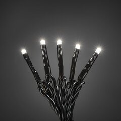 Лампы Slinga, 100 светодиодов цена и информация | Уличные светильники | hansapost.ee
