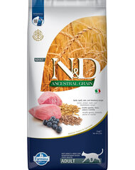 Farmina N&D Ancestral kuivtoit kassidele lambaliha, nisu, kaera ja mustikatega, 10 kg price and information | Dry cat food and cat crackers | hansapost.ee