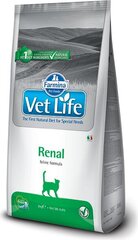 Farmina Vet Life Renal сухой корм для кошек с курицей, 2 кг цена и информация | Сухой корм для кошек | hansapost.ee