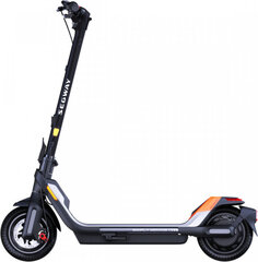 Elektritõukeratas Segway P65E hind ja info | Segway Sport, puhkus, matkamine | hansapost.ee