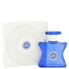 Parfüümvesi Bond No.9 Hamptons EDP naistele/meestele, 100 ml hind ja info | Parfüümid naistele | hansapost.ee