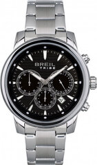 Мужские часы Breil EW0510. цена и информация | Мужские часы | hansapost.ee