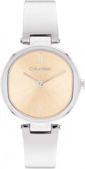 Kell meestele Calvin Klein 1685227 hind ja info | Käekellad meestele | hansapost.ee