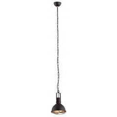 Argon подвесной светильник Calvados 3189 цена и информация | Люстры | hansapost.ee