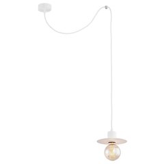 Argon подвесной светильник Corso 3834 цена и информация | Потолочный светильник, 38 x 38 x 24 см | hansapost.ee