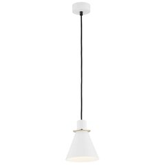 Argon подвесной светильник Beverly 4680 цена и информация | Потолочный светильник, 38 x 38 x 24 см | hansapost.ee