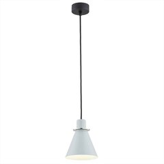 Argon подвесной светильник Beverly 4683 цена и информация | Потолочный светильник, 38 x 38 x 24 см | hansapost.ee