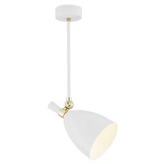 Argon подвесной светильник Charlotte 4684 цена и информация | Люстры | hansapost.ee