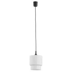 Argon подвесной светильник Newa 3269 цена и информация | Люстры | hansapost.ee