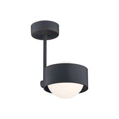 Argon подвесной светильник Massimo Plus 8060 цена и информация | Люстры | hansapost.ee