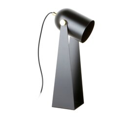 Zuma Line настольная лампа Aries цена и информация | Настольная лампа | hansapost.ee