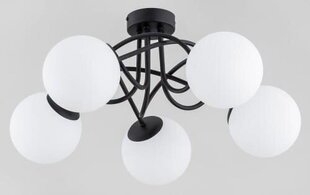 Alfa потолочный светильник Banko цена и информация | Потолочные светильники | hansapost.ee