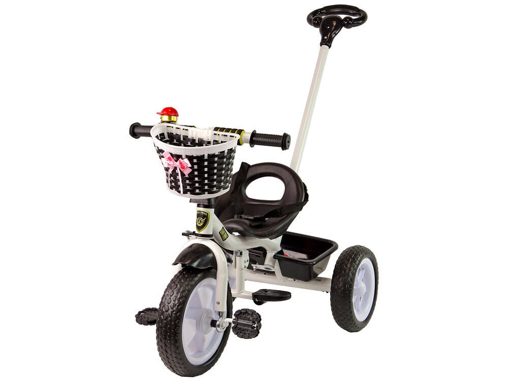 Kolmerattaline Lean Toys PRO100, must цена и информация | Kolmerattalised jalgrattad lastele | hansapost.ee