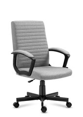 Офисное кресло Mark Adler Boss 2.5 Grey цена и информация | Офисные кресла | hansapost.ee